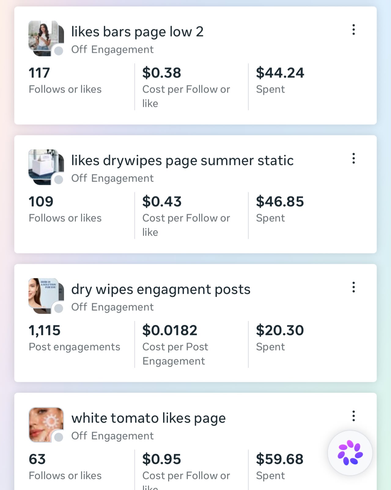 Engagement campaigns including 1,115 post engagements at $0.0182 each and page likes campaigns