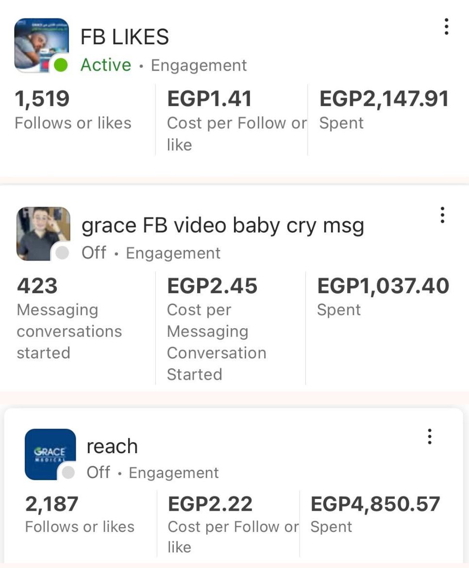 Egypt campaigns: 1,519 follows or likes, 423 messaging conversations started and 2,187 follows or likes, in EGP