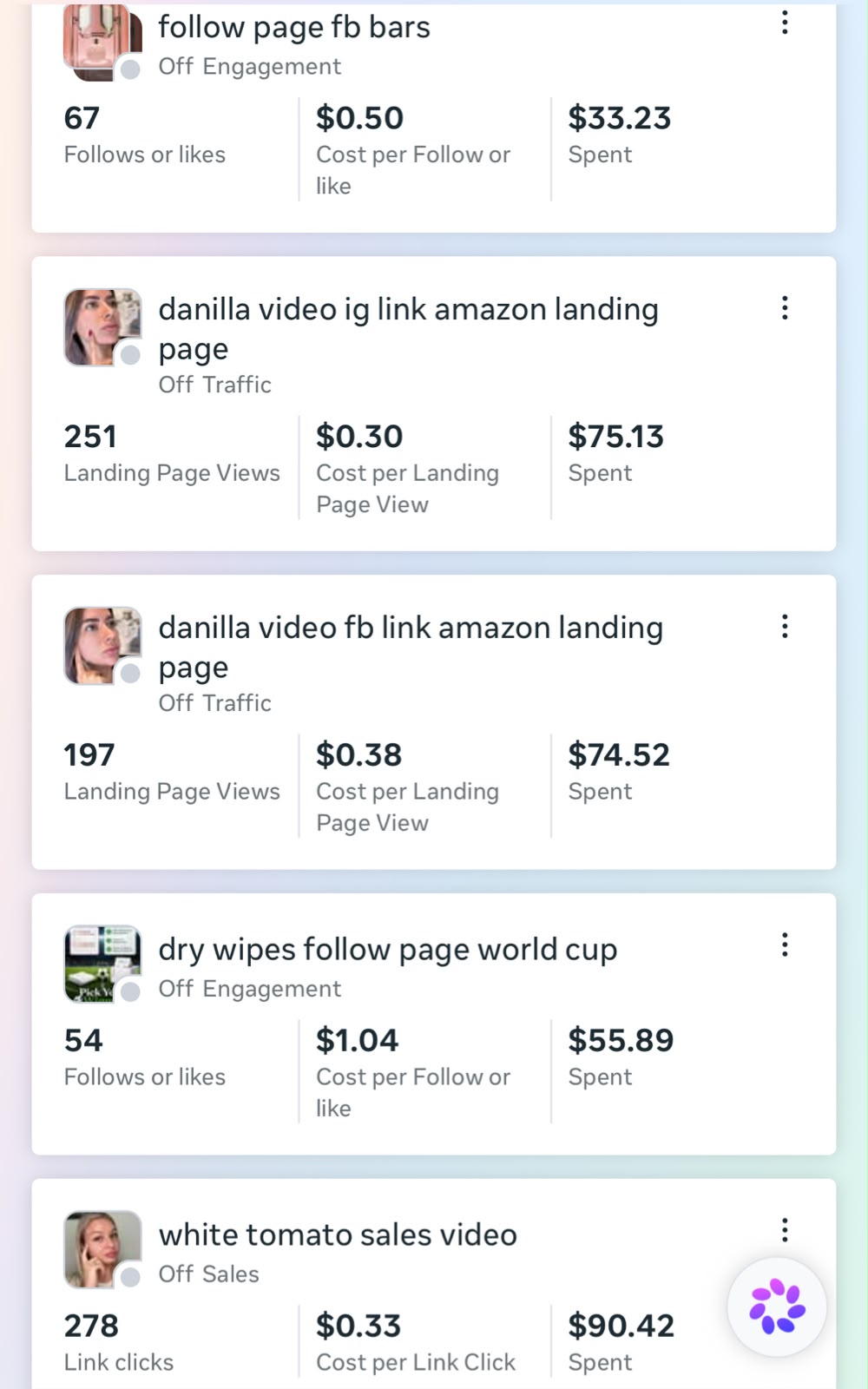 Traffic campaigns with 251 and 197 landing page views at $0.30 and $0.38 each